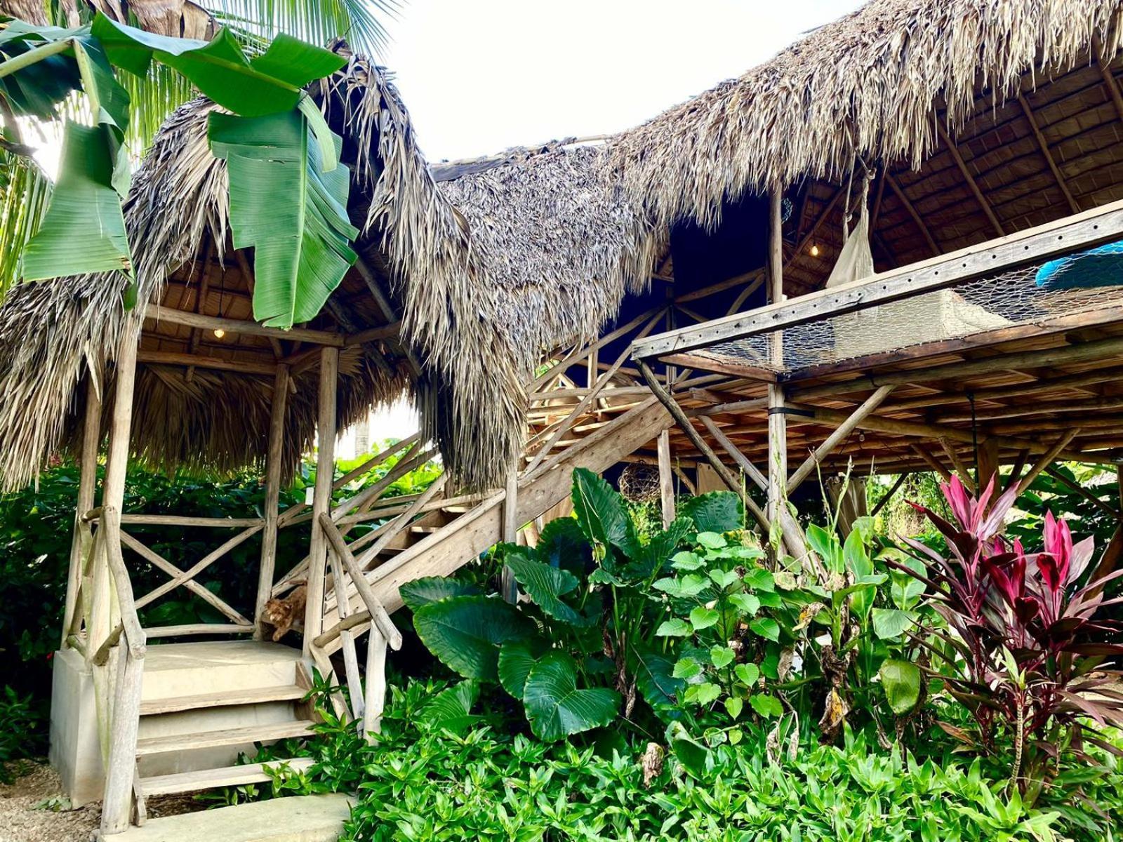 Samana Ecolodge El Limon ภายนอก รูปภาพ