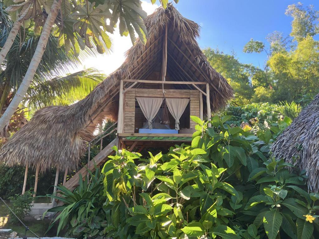 Samana Ecolodge El Limon ภายนอก รูปภาพ