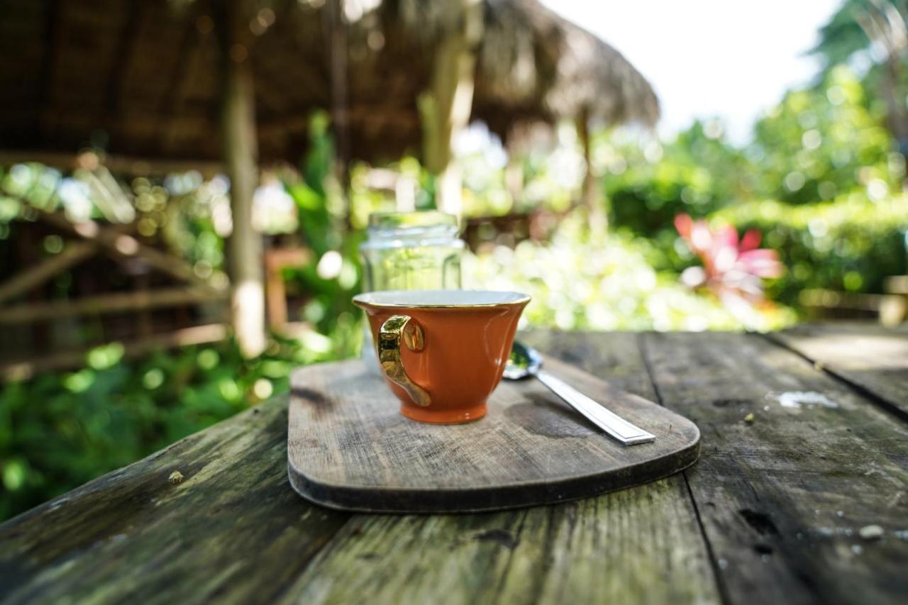 Samana Ecolodge El Limon ภายนอก รูปภาพ