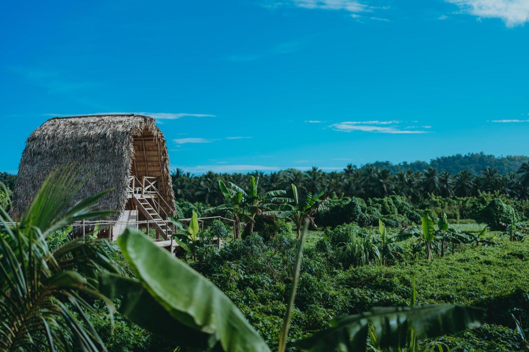 Samana Ecolodge El Limon ภายนอก รูปภาพ