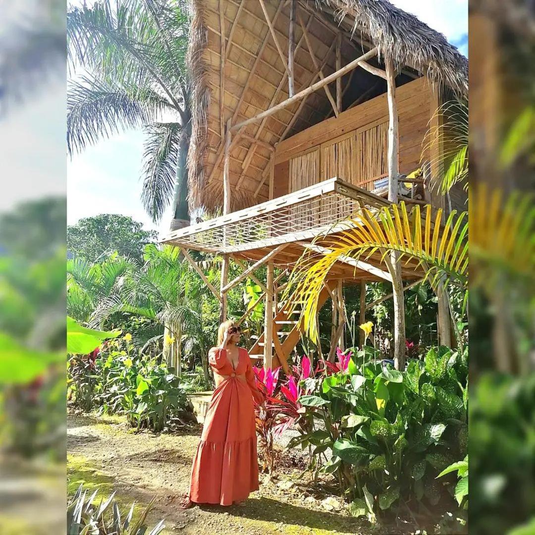 Samana Ecolodge El Limon ภายนอก รูปภาพ