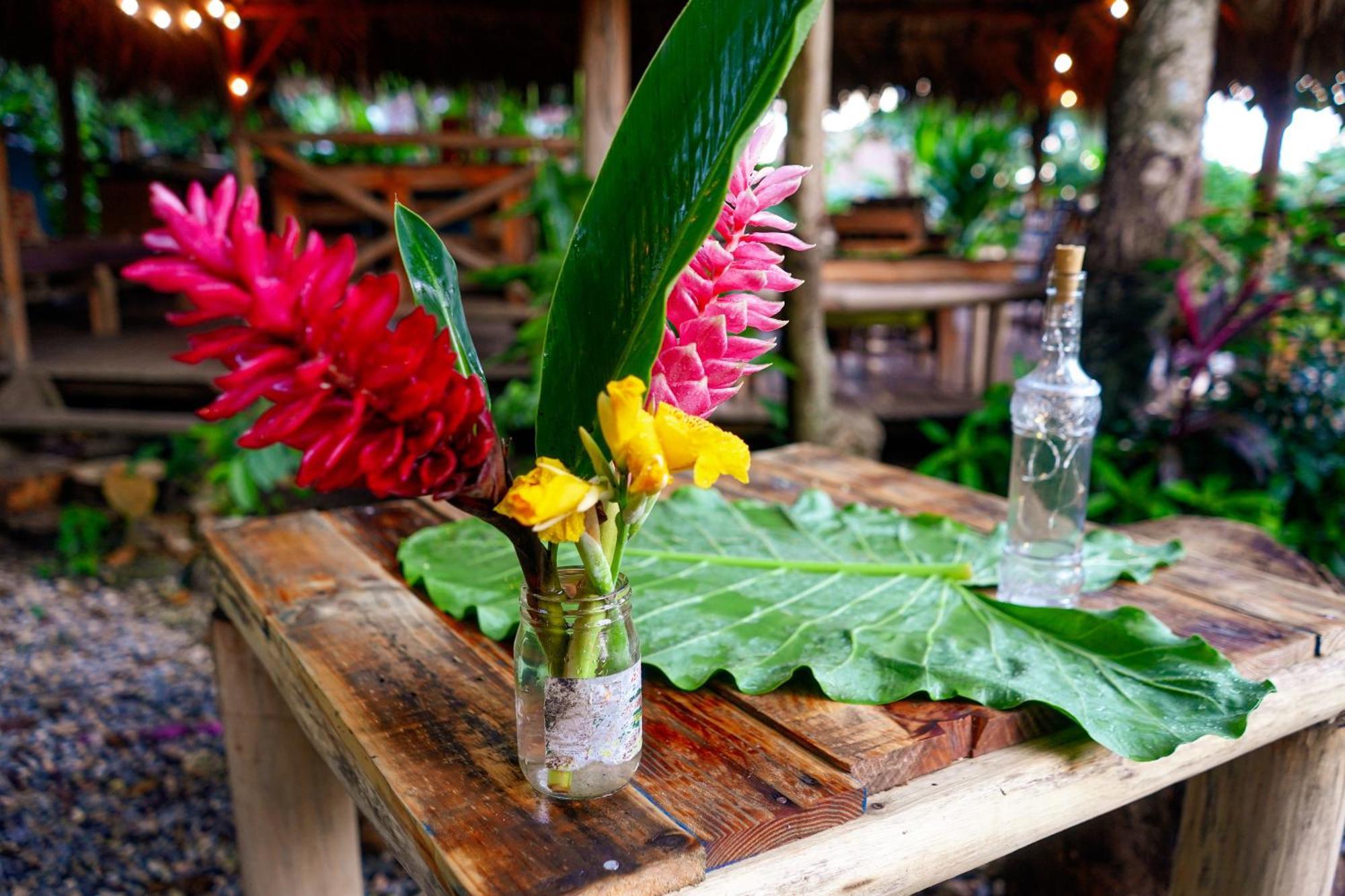 Samana Ecolodge El Limon ภายนอก รูปภาพ